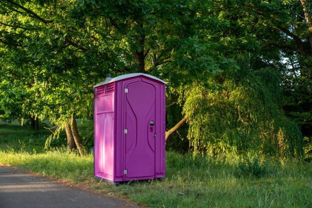 Portable Toilet Options We Offer in Lake Lorelei, OH